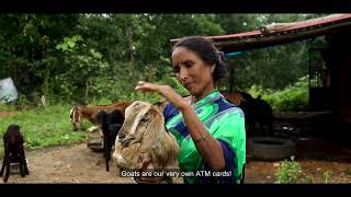 Goat farming training